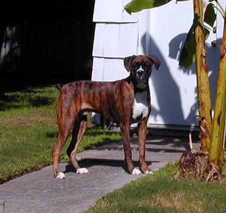 Handsome "Big Daddy" Mack