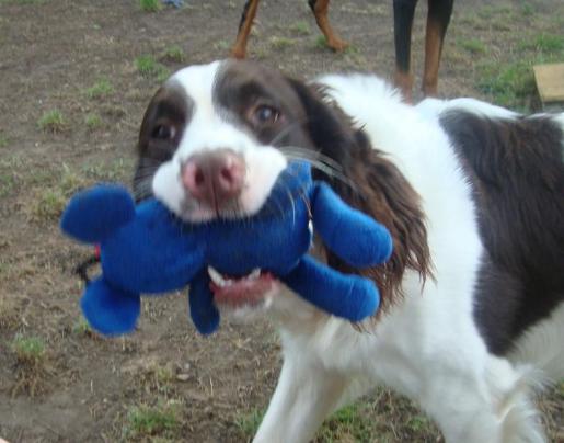 Beautiful Bart Has a Toy