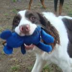 Beautiful Bart Has a Toy