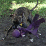 Leia Plays with a Toy