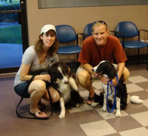 Border Collies Graduate