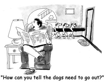 How-Can-You-Tell-The-Dogs-N