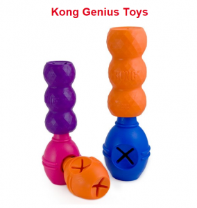 Kong Genius Toys