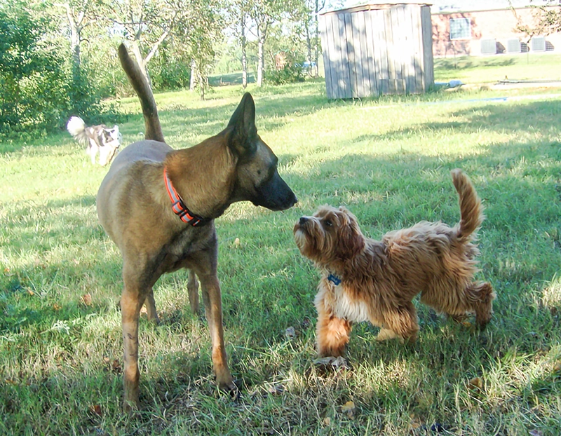 Making Friends